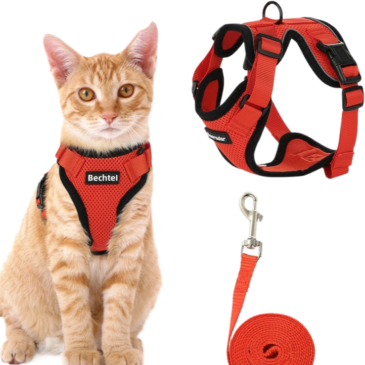 Adjustable Reflective Pet Vest Harness & Leash — Anti-Escape, Breathable, Sizes XS–M, 7 Colors
