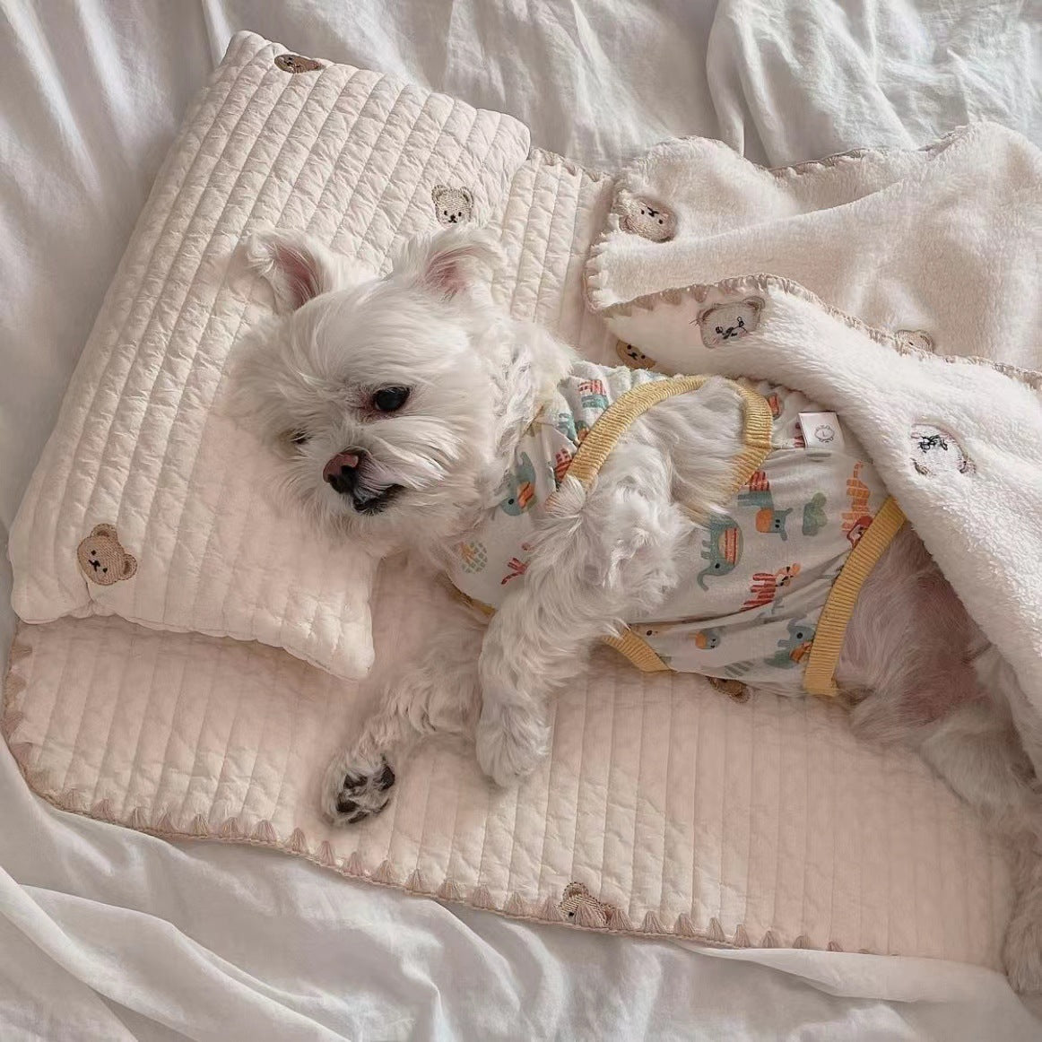 Pet Dog Bed 3-Piece Set — Pillow, Mat & Blanket, Washable Cover, Bear Design, Sizes S & M