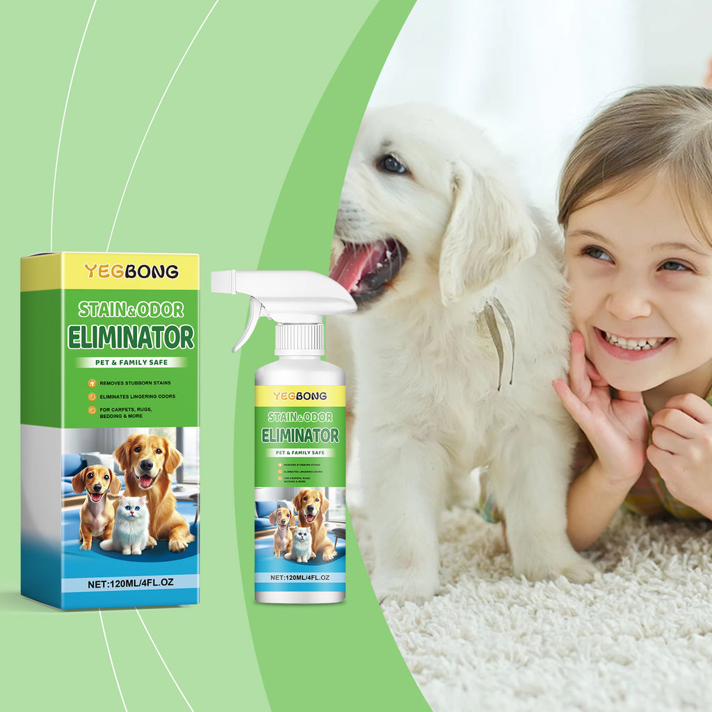 Pet Stain & Odor Remover Spray — Eliminates Urine, Grease & Saliva Stains, Multi-Surface