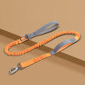 Reflective Dog Leash — Heavy-Duty Nylon, Padded Handle, Adjustable 4.1 ft, 5 Colors