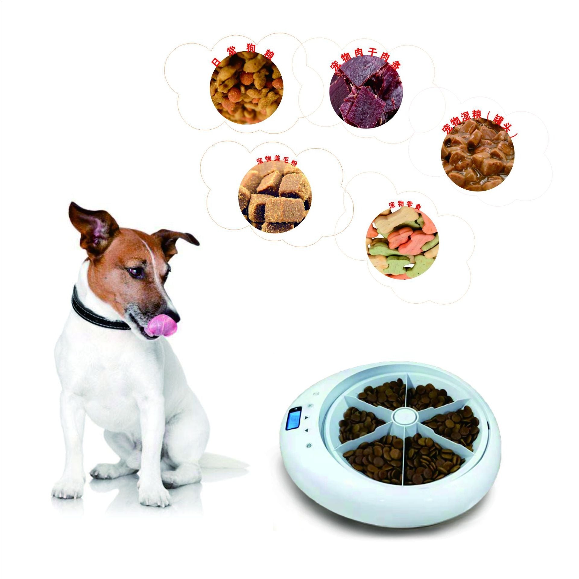 6-Meal Automatic Pet Feeder — LCD Display, Voice Recording & Anti-Pinch Safety