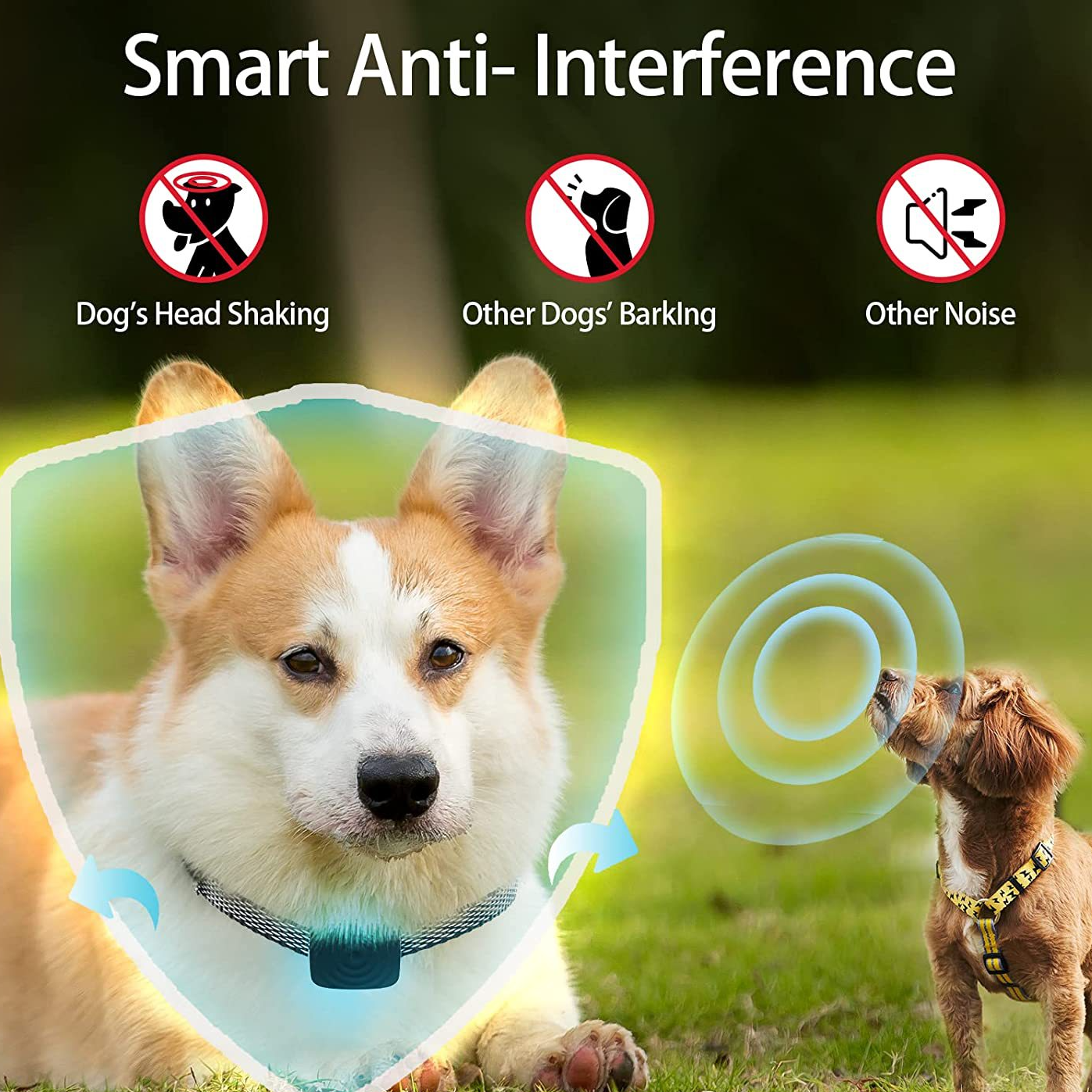 Smart Anti-Bark Collar — Sound & Vibration, 5-Level Sensitivity, Rechargeable