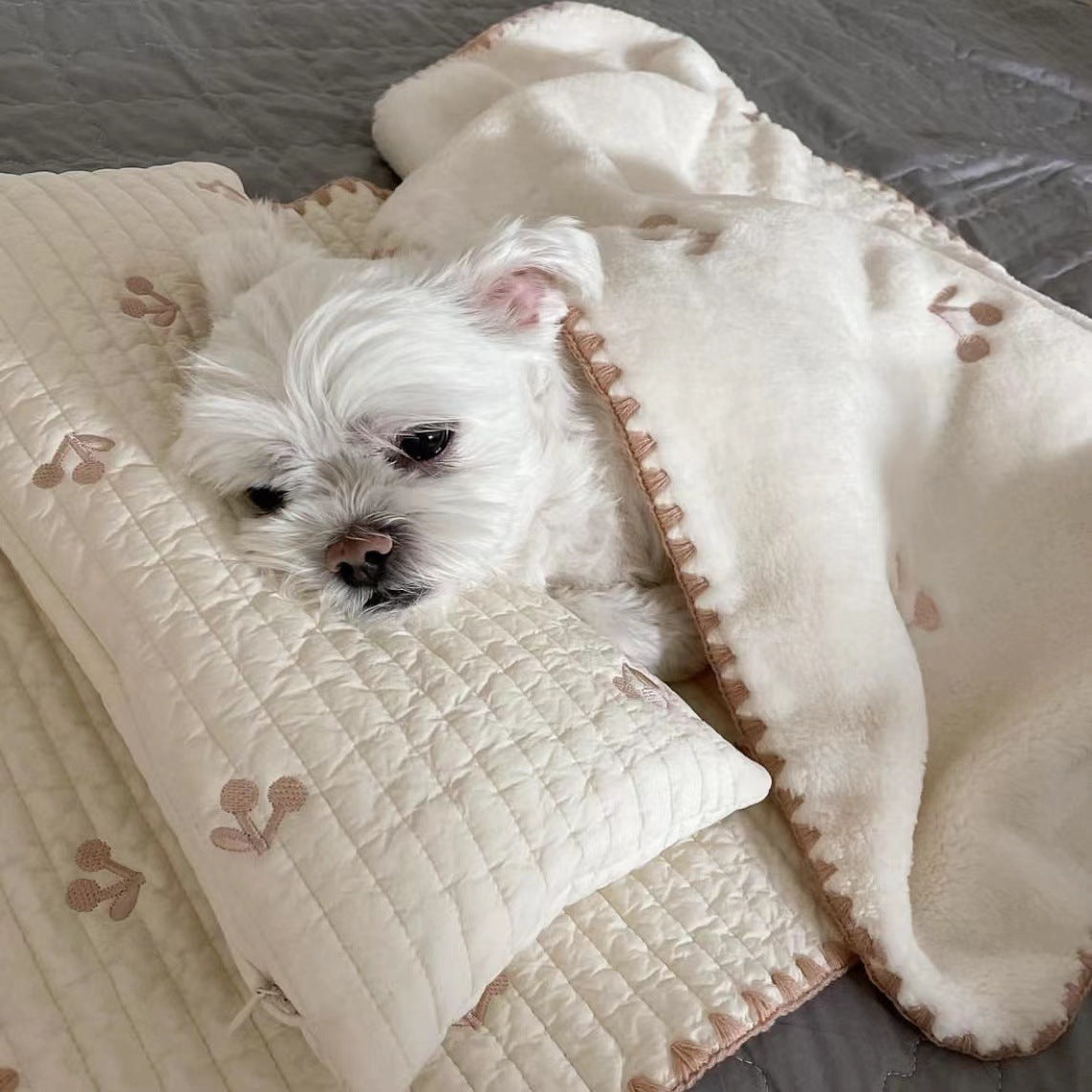 Pet Dog Bed 3-Piece Set — Pillow, Mat & Blanket, Washable Cover, Bear Design, Sizes S & M