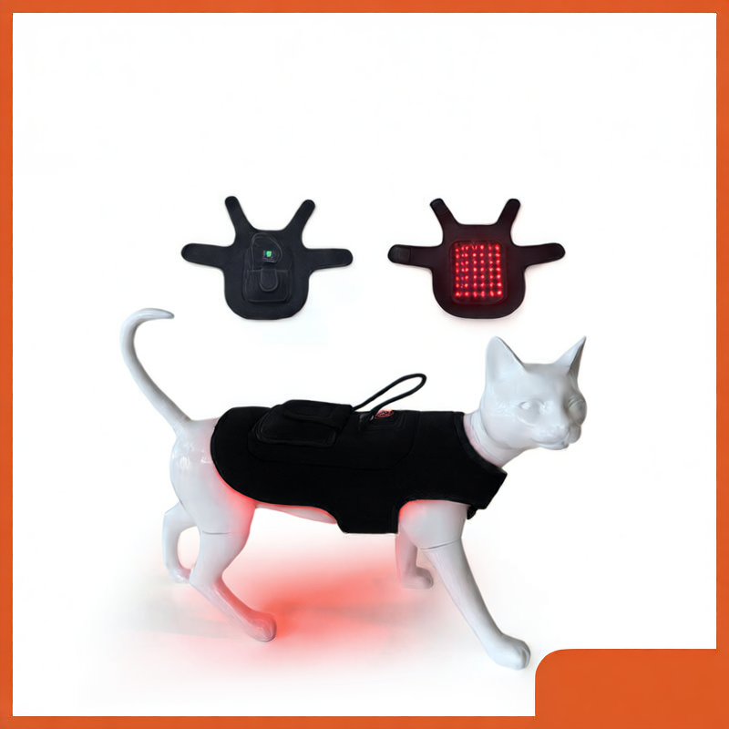 Portable Pet Red Light Therapy Belt — 42 LED Beads, Far Infrared Heat, CE/FCC Certified
