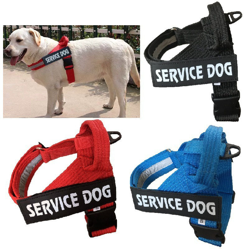 Adjustable Dog Harness Vest — Soft Padded, 3 Colors, Sizes S–XXL