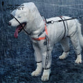 Transparent Dog Raincoat — Lightweight Waterproof Coat, White, Sizes M–7XL