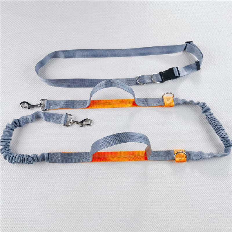 Hands-Free Dog & Cat Leash — Waist Belt, Reflective, Retractable, 5 Colors