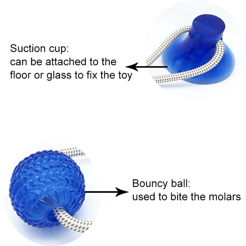 Suction Cup Dog Chew Toy — TPR Rubber Molar Ball for Teeth Cleaning & Self-Play