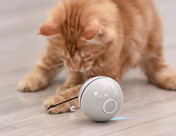 Automatic LED Rolling Cat Ball Toy — USB Rechargeable Smart Teaser