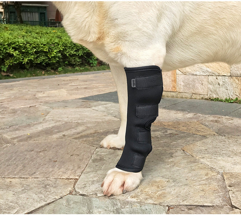 Dog Hock Brace — Neoprene Rear Leg Support Wrap for Dogs, Sizes S–XL