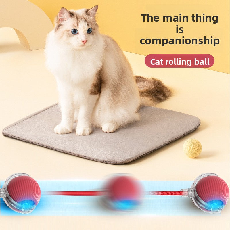 Automatic Electric Rolling Pet Toy Ball — Self-Moving Interactive Toy for Cats & Dogs