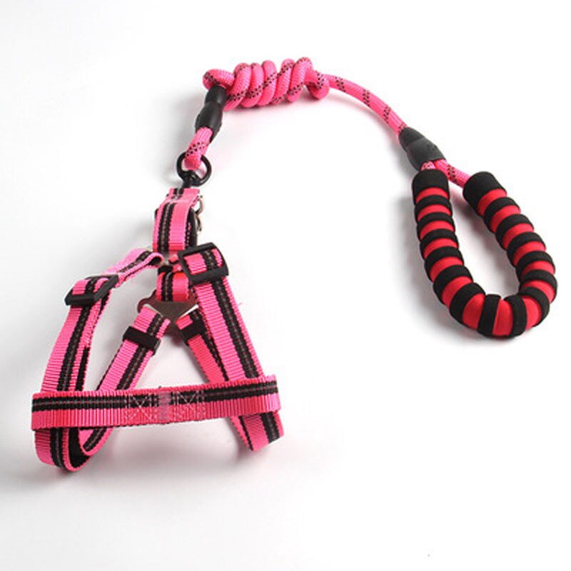 Reflective Nylon Dog Leash & Vest Harness Set — 4ft, 3 Widths, 5 Colors, Large Dogs