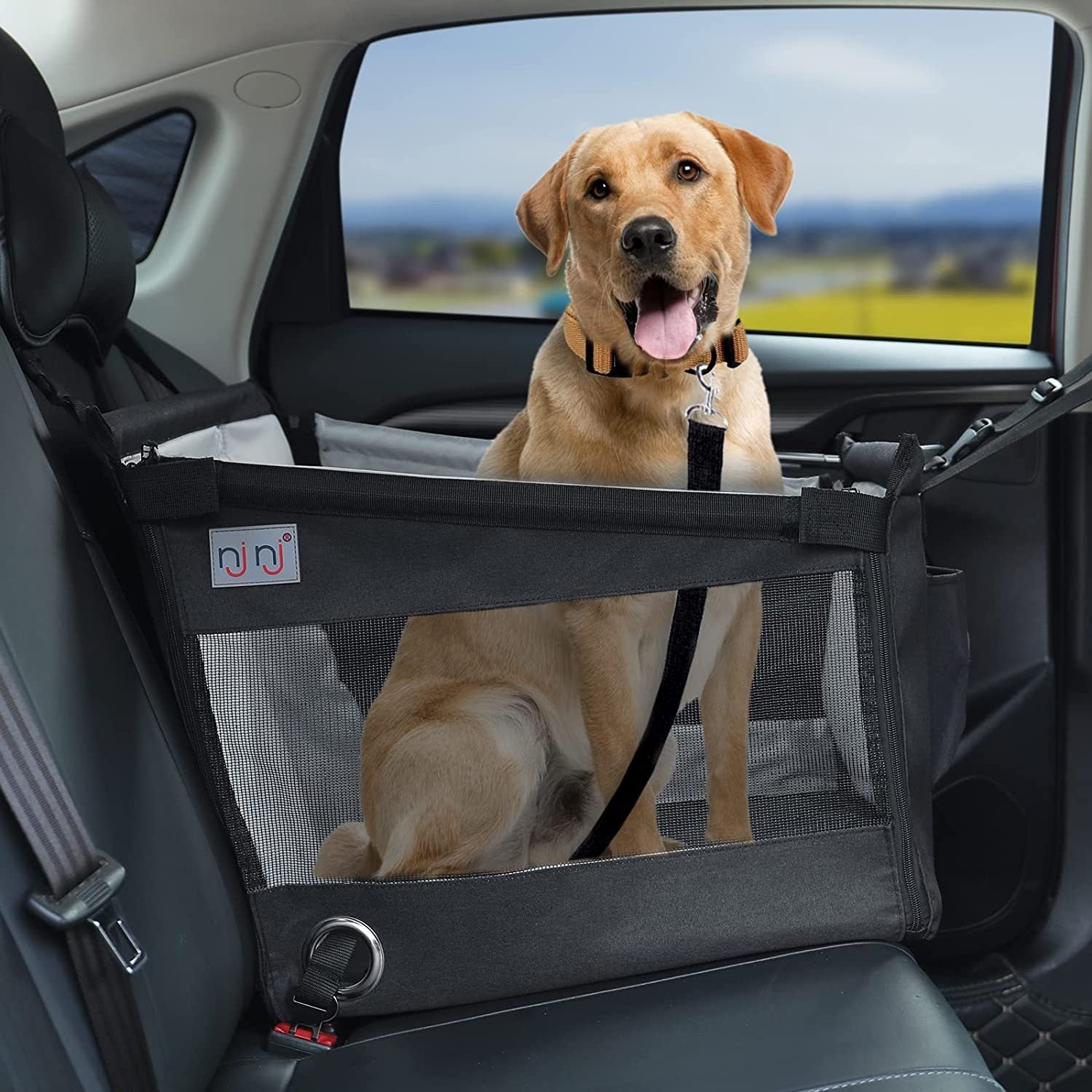 Waterproof Car Rear Seat Pet Basket — Dog Travel Cage & Cushion