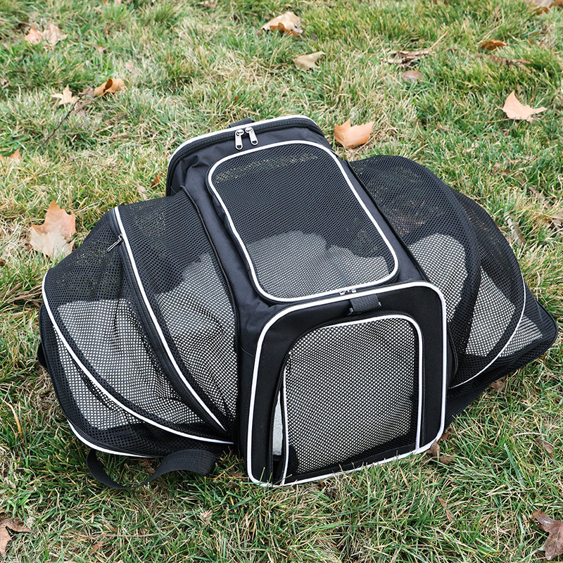 Expandable Pet Carrier Tote — Soft-Sided Travel Bag for Cats & Small Dogs