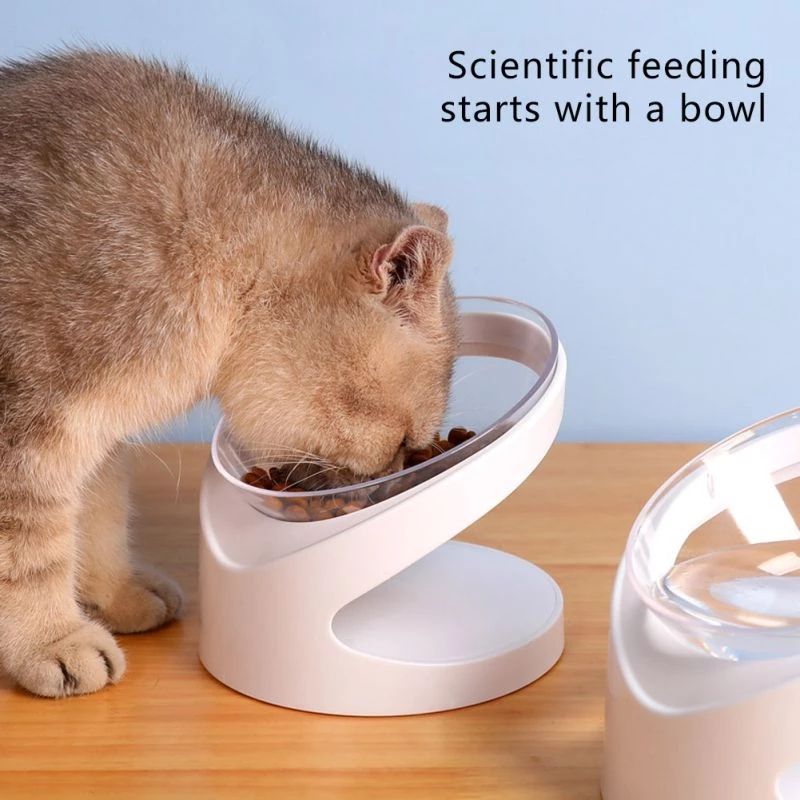 Tilted Ergonomic Pet Food Bowl — Cervical Support for Cats & Dogs