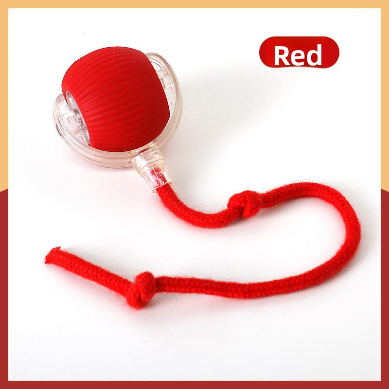 Automatic Electric Rolling Pet Toy Ball — Self-Moving Interactive Toy for Cats & Dogs
