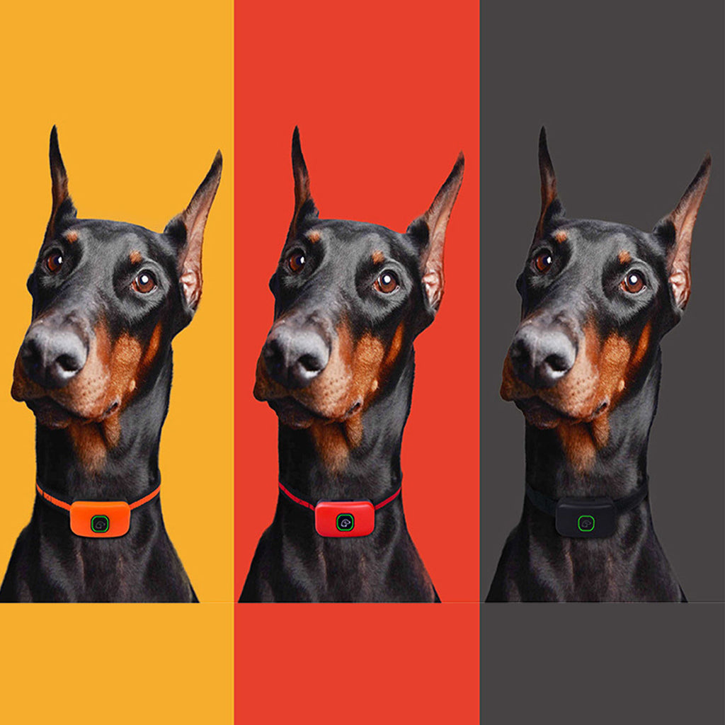 Waterproof Remote Dog Training Collar with 99 Levels — Beep, Vibration & Static