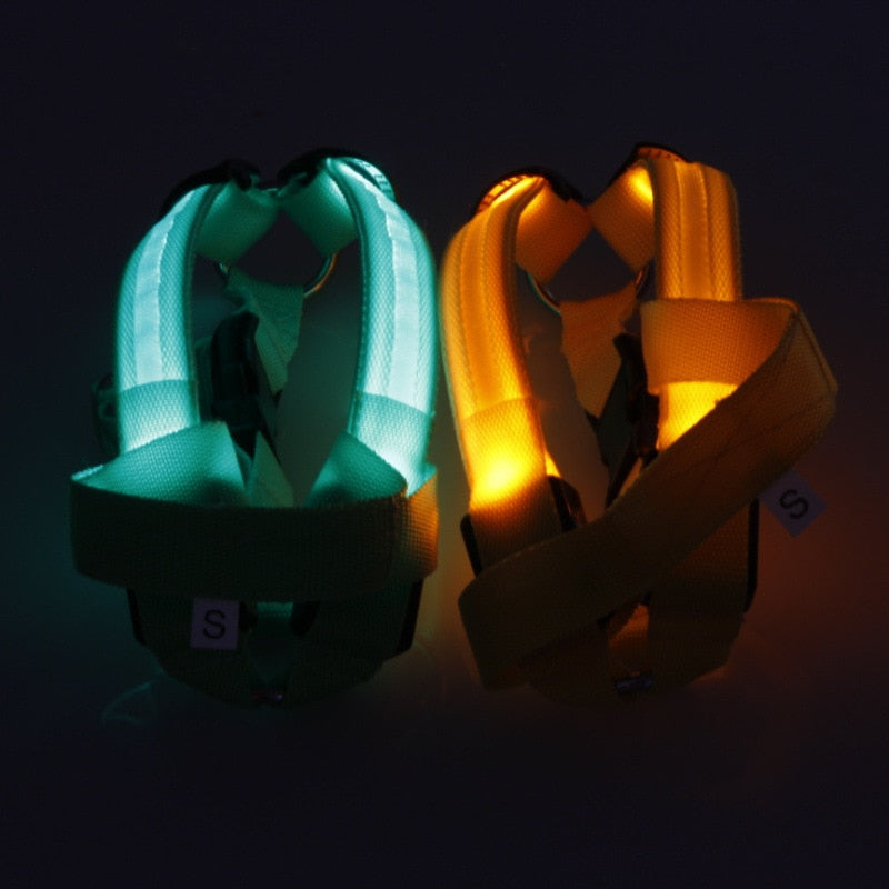 LED Light-Up Dog Harness — Nylon, 3 Flash Modes, 7 Colors, Sizes XS–XL
