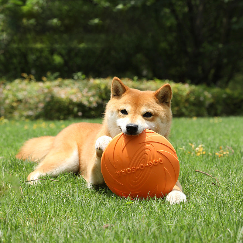 Soft Dog Frisbee — Bite-Resistant, Floating, 3 Sizes & 3 Colors