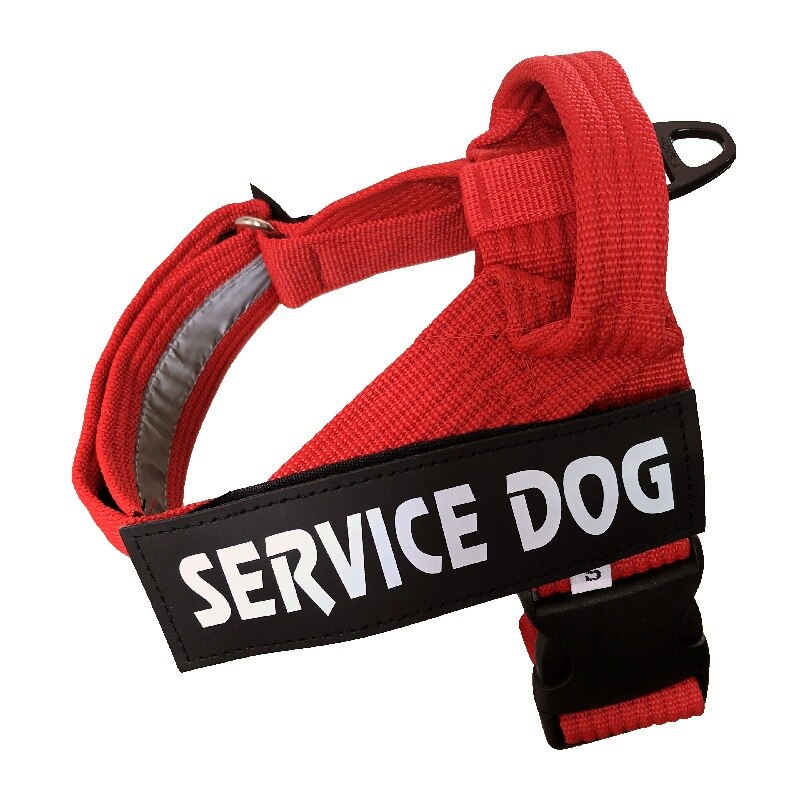 Adjustable Dog Harness Vest — Soft Padded, 3 Colors, Sizes S–XXL