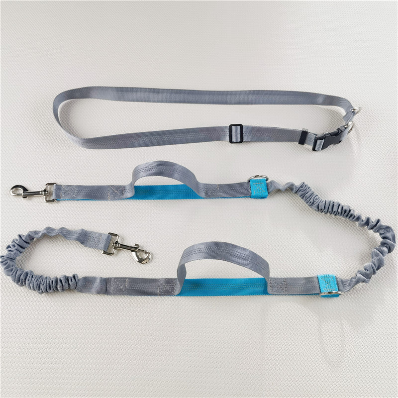 Hands-Free Dog & Cat Leash — Waist Belt, Reflective, Retractable, 5 Colors