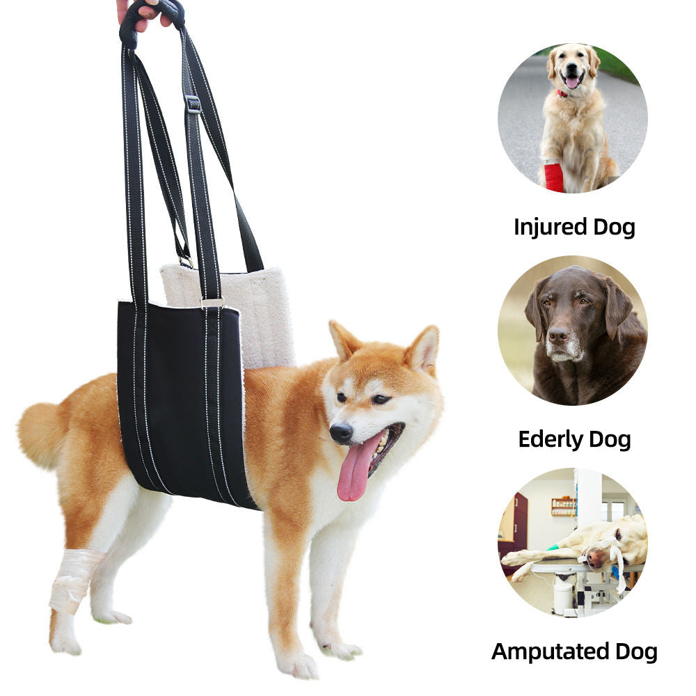 Adjustable Dog Leash with Assistance Strap – Multi-Function Control Leash for Dogs