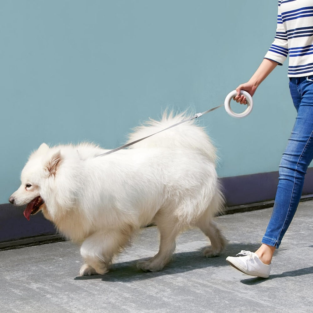 Retractable Dog Leash with LED Light — 2.6m, 60kg Tension, Ergonomic Ring Grip