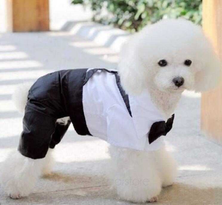 Dog Groom Tuxedo Jumpsuit with Bow Tie — Cotton & Polyester, S–XL