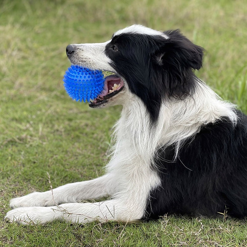 Squeaky Spike Ball Dog Toy — TPR Chew & Teeth Grinding Toy, 3.5 in, 3 Colors