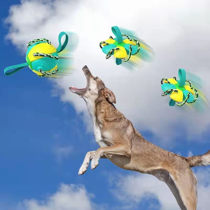 ABS Outdoor Frisbee Football Dog Toy — Interactive Fetch, 360g, 5 Color Combos