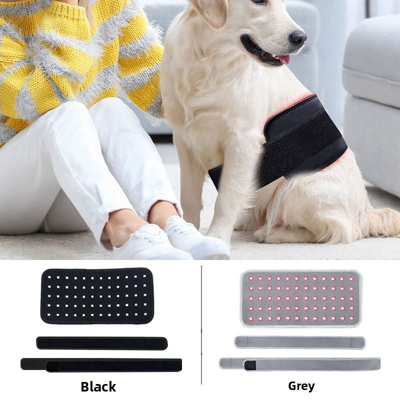 Pet Infrared Red Light Therapy Waist Belt — 60 LED Beads, Portable, FDA/FCC/CE Certified