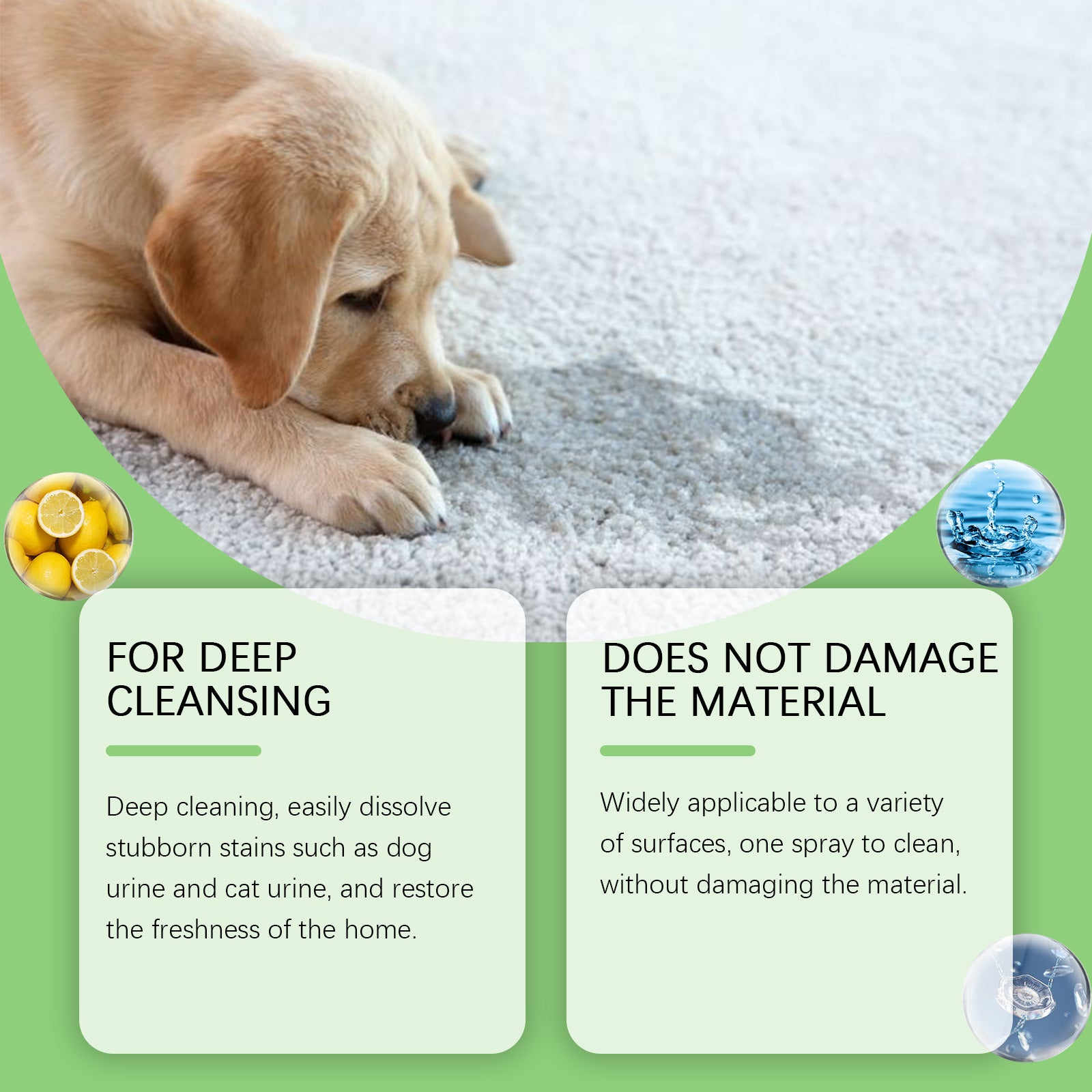 Pet Stain & Odor Remover Spray — Eliminates Urine, Grease & Saliva Stains, Multi-Surface