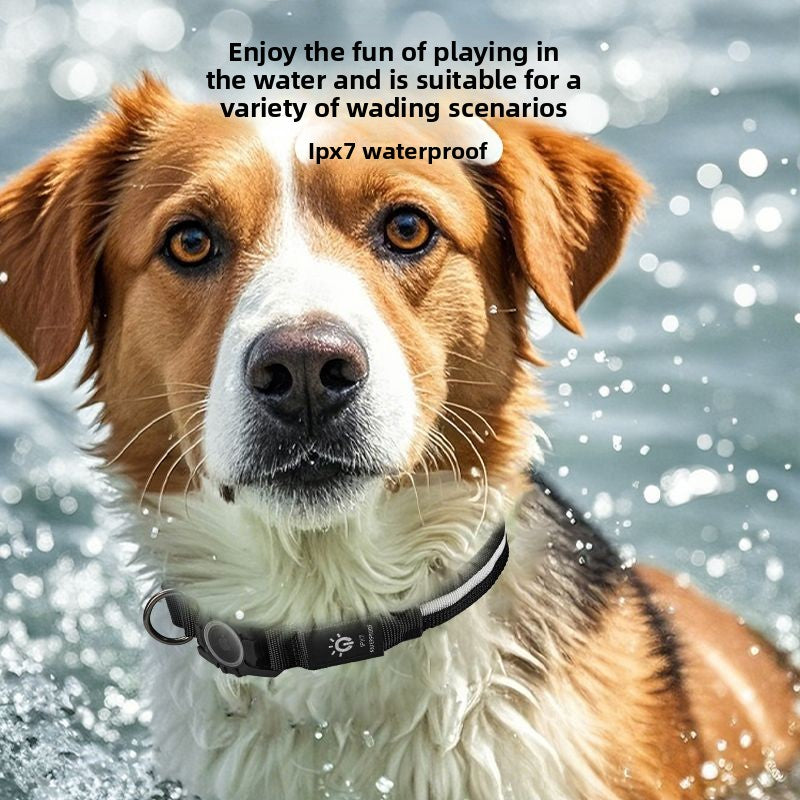 LED Glowing Pet Collar — IP67 Waterproof, USB Rechargeable, AirTag Compatible, Sizes S–L