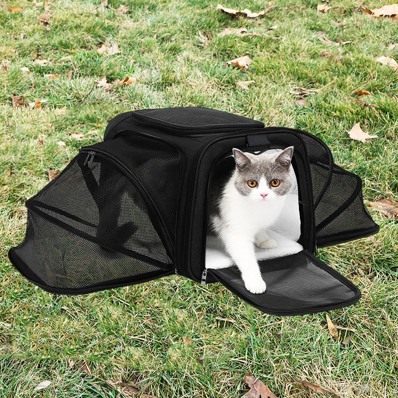 Expandable Pet Carrier Tote — Soft-Sided Travel Bag for Cats & Small Dogs
