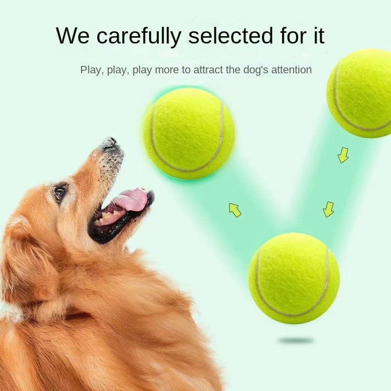 Rubber Tennis Ball Dog Toy — Bouncy Bite-Resistant Chew Ball, 6cm