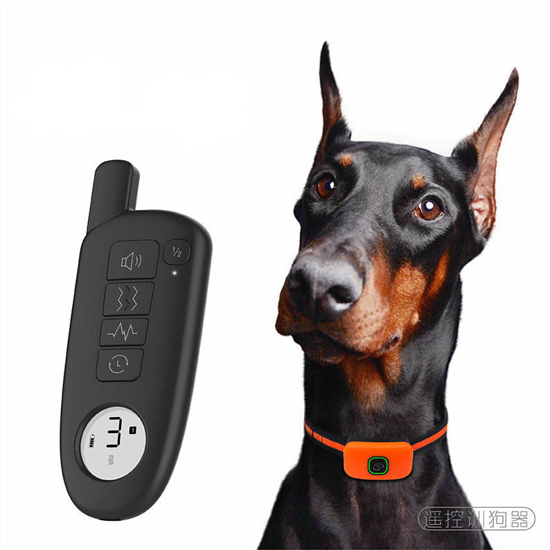 Waterproof Remote Dog Training Collar with 99 Levels — Beep, Vibration & Static