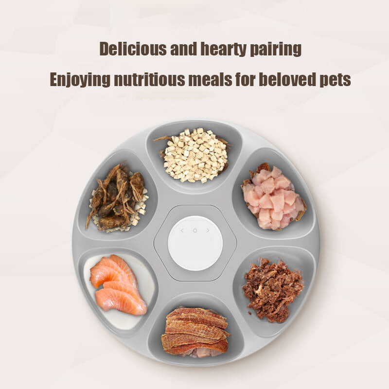 6-Meal Automatic Pet Feeder with Ice Pack Tray — Timed Wet & Dry Food Dispenser for Cats & Dogs