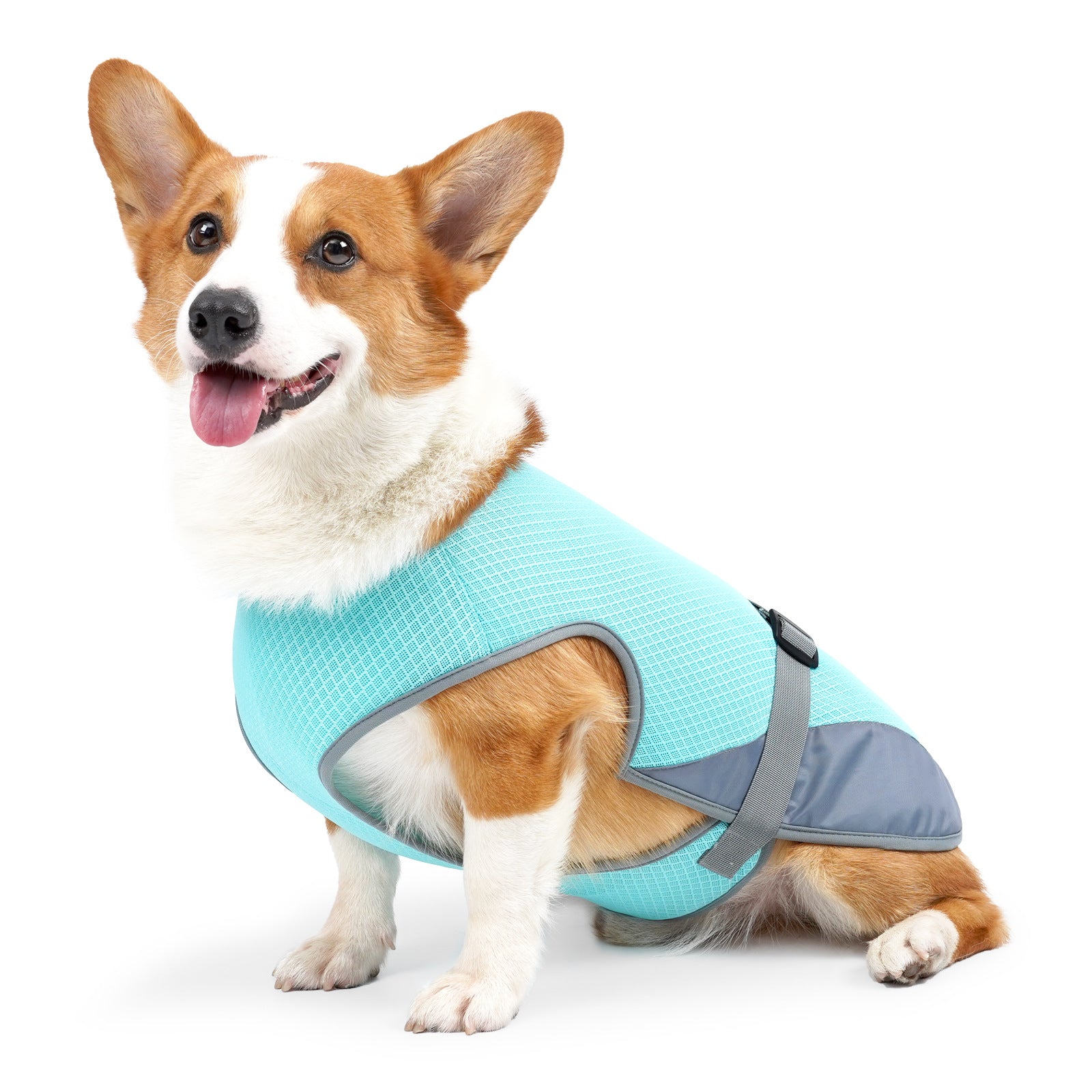 Dog Cooling Vest — Lightweight Summer Harness for Heat Relief, Sizes S–XL, 2 Colors