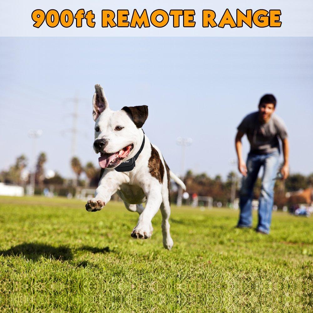 Petrainer 998DR-1 Remote Dog Training Collar — 330yd Range, 100 Levels, Rain-Resistant