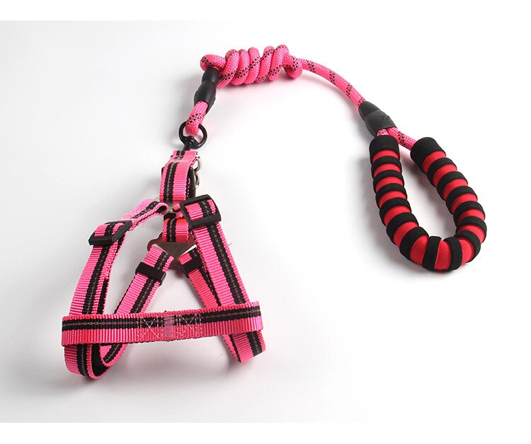 Reflective Nylon Dog Leash & Vest Harness Set — 4ft, 3 Widths, 5 Colors, Large Dogs