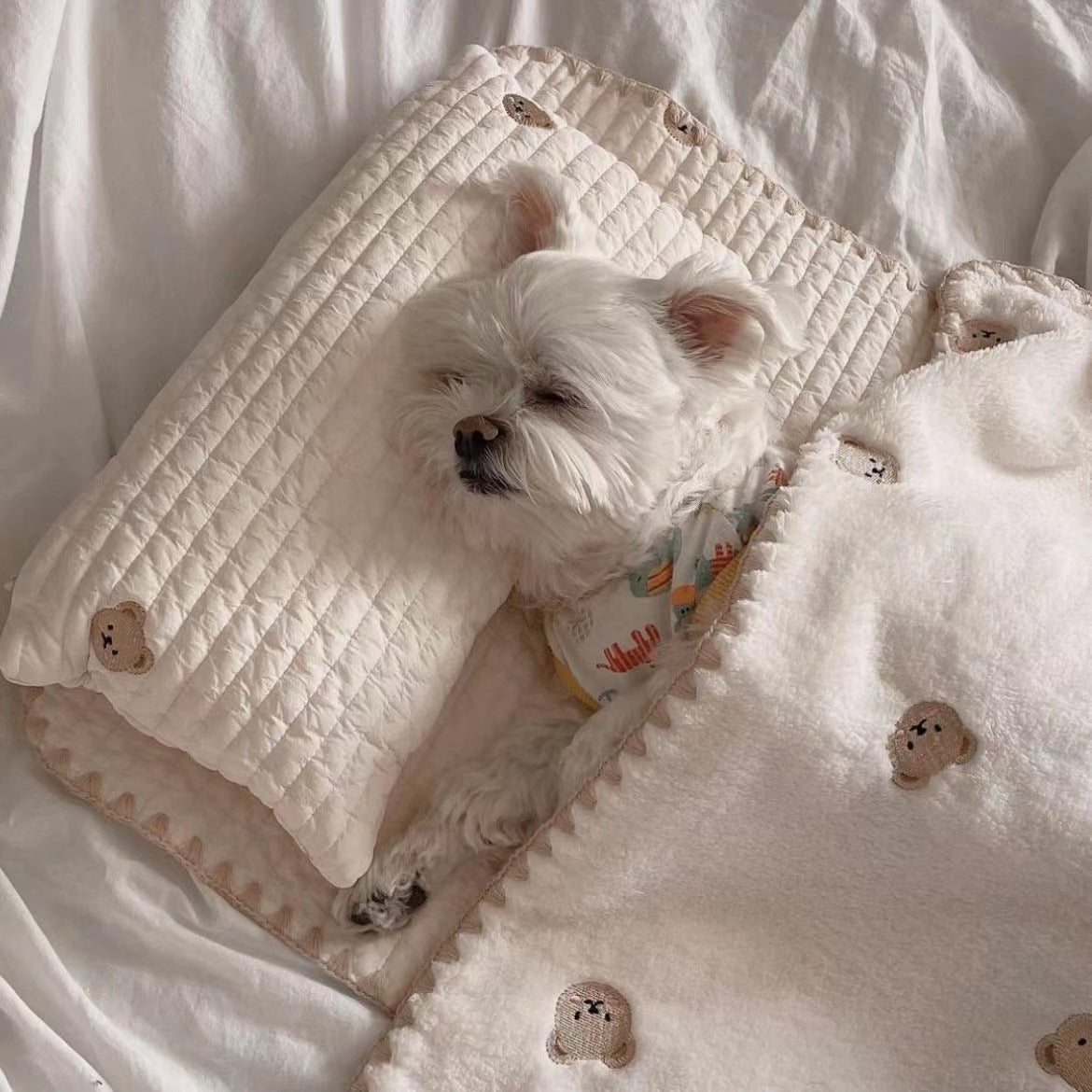 Pet Dog Bed 3-Piece Set — Pillow, Mat & Blanket, Washable Cover, Bear Design, Sizes S & M