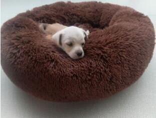 Donut Pet Bed — Ultra-Soft Corduroy, Washable, 3 Sizes, 8+ Colors