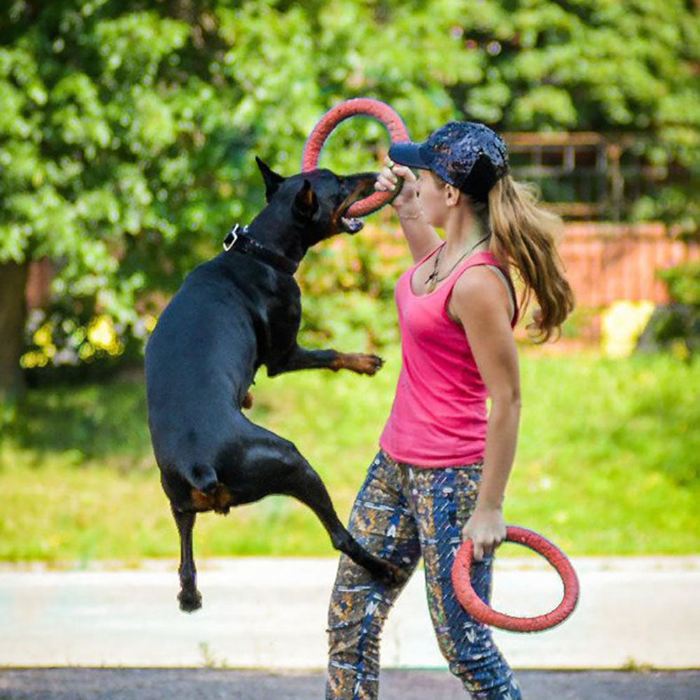 Rubber Flying Disc for Dogs — 2 Sizes, 3 Colors, Outdoor Fetch & Training