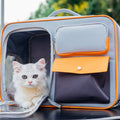 Large-Capacity Pet Travel Backpack — Oxford Canvas, Up to 33 lbs, Basic & Upgrade Styles, 2 Colors