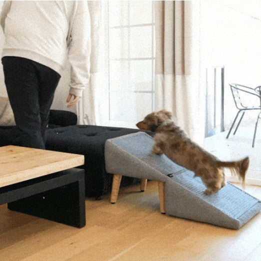 Dog Sofa Ladder & Pet Stair Ramp — Anti-Slip, Suction Cup Base, 3 Colors & 2 Fabric Options
