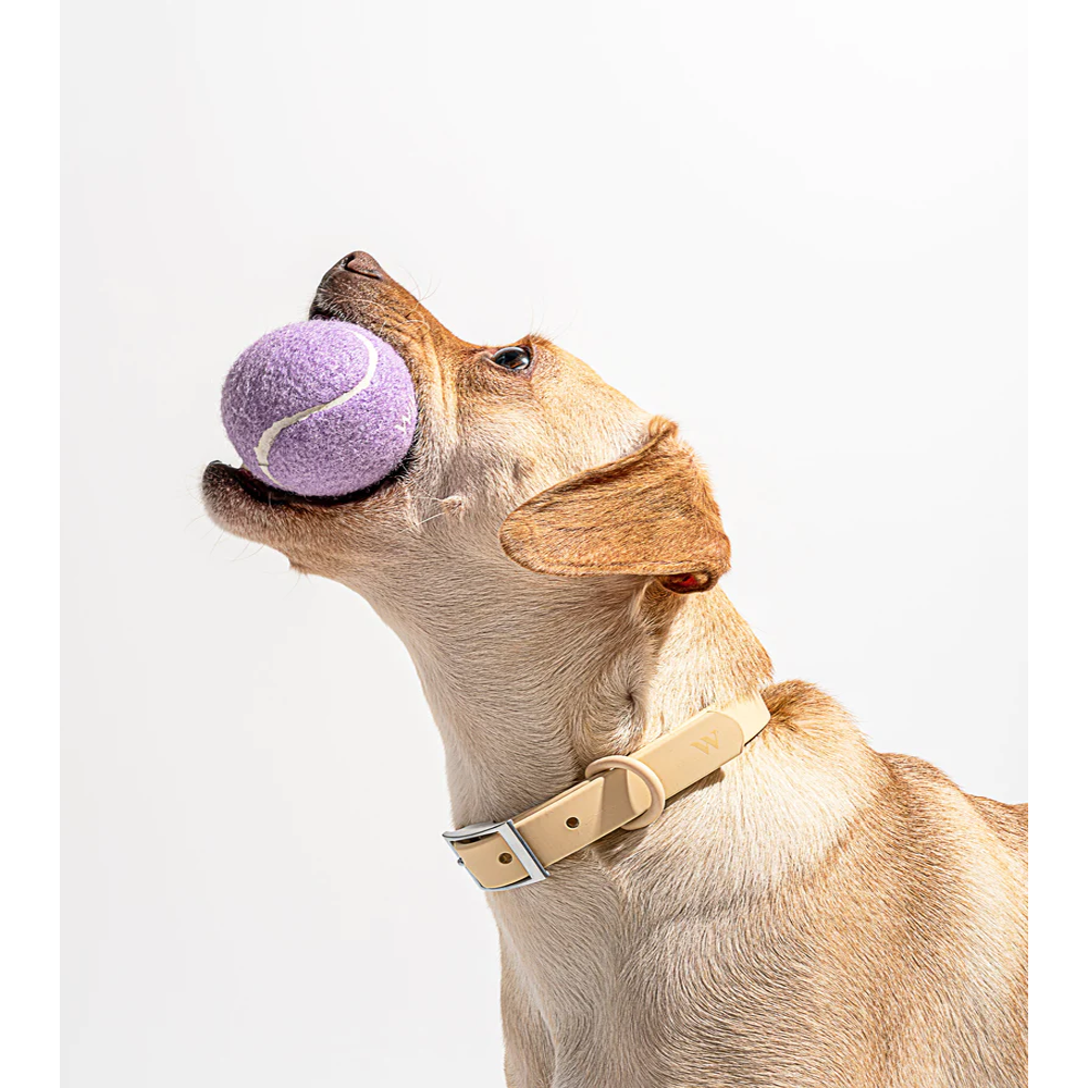 TPR Tennis Cup Dog Toy – Durable Chew & Fetch Toy for Dogs
