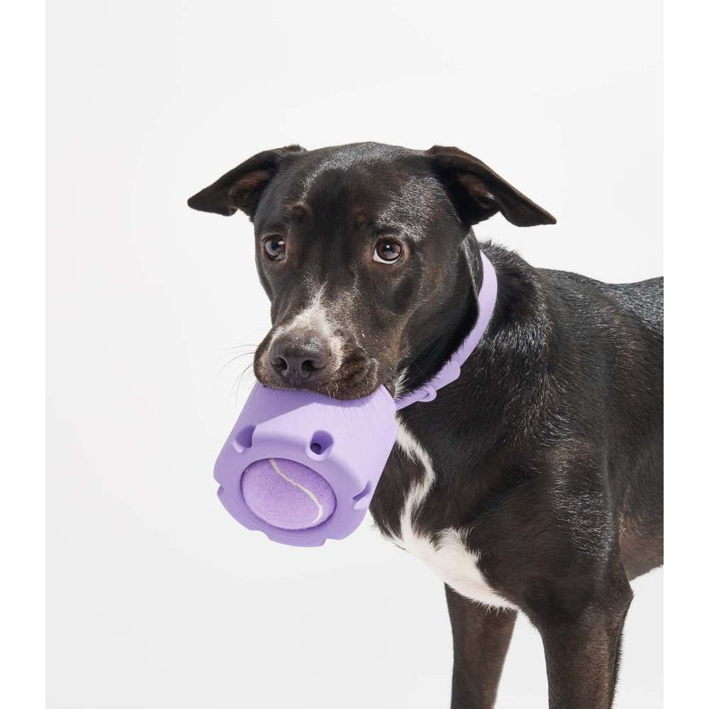 TPR Tennis Cup Dog Toy – Durable Chew & Fetch Toy for Dogs