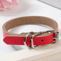 Genuine Leather Dog Collar — Classic Adjustable, 5 Colors, Sizes XS–XL