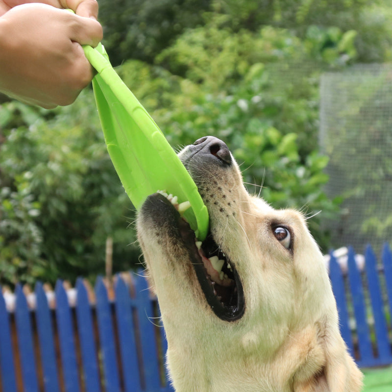 TPR Dog Frisbee — Soft, Bite-Resistant & Floating, 3 Sizes, 6 Colors