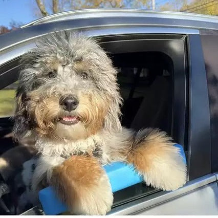 Dog Car Window Chin Rest — Natural Wood Safety Ledge for Road Trips